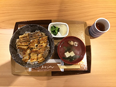 akiya6apr2018.jpg