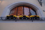 ric081014_31.jpg