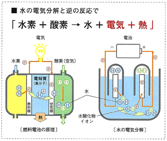 tsukuru2may2012.jpg