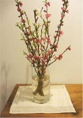 hinamatsuri2mar2013.jpg