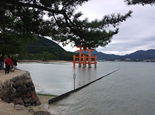 miyajima4nov2016.jpg