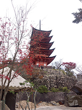 miyajima5nov2016.jpg