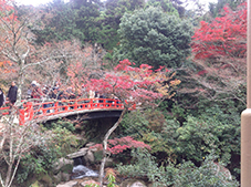 miyajima6nov2016.jpg